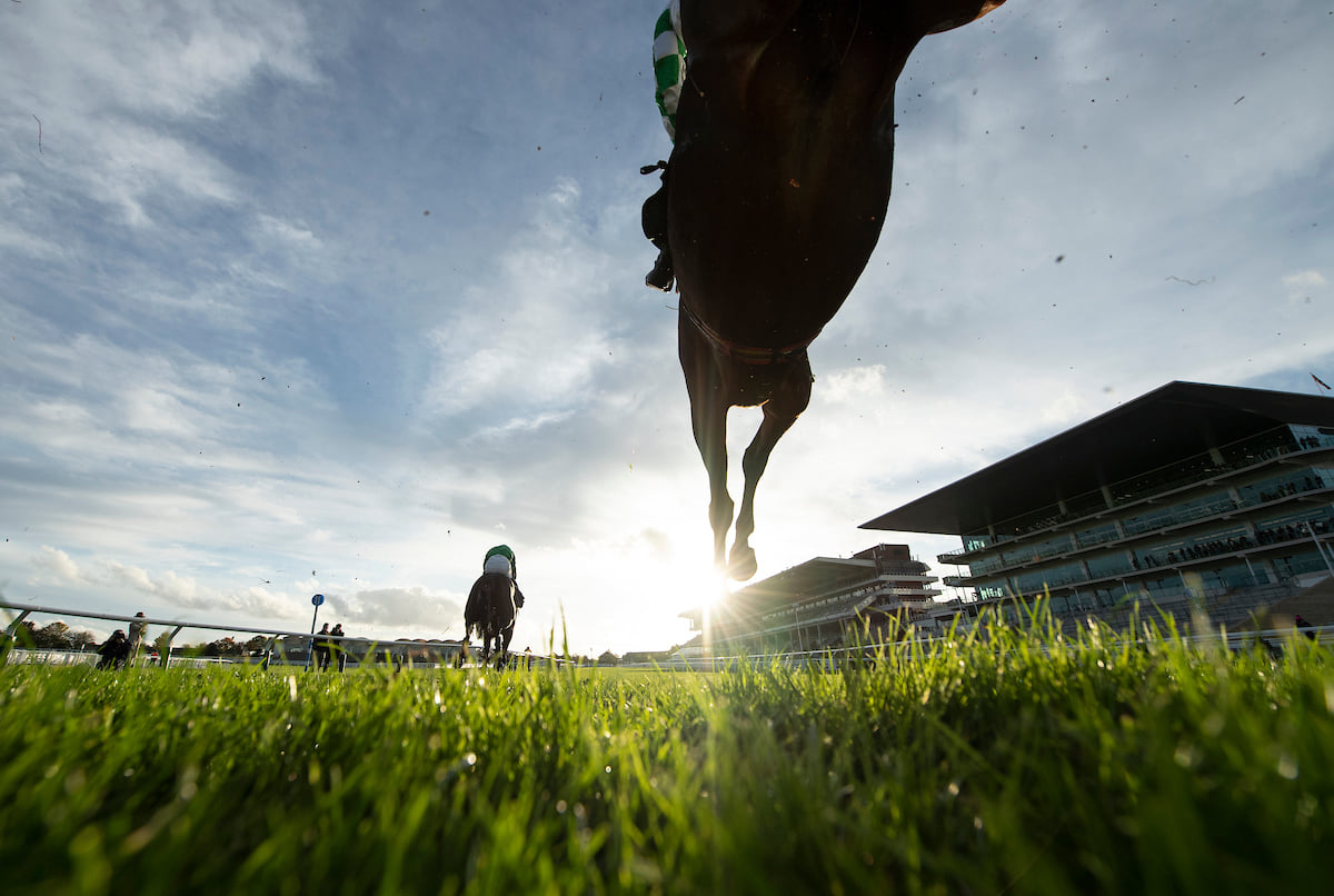 New Year's Day racing