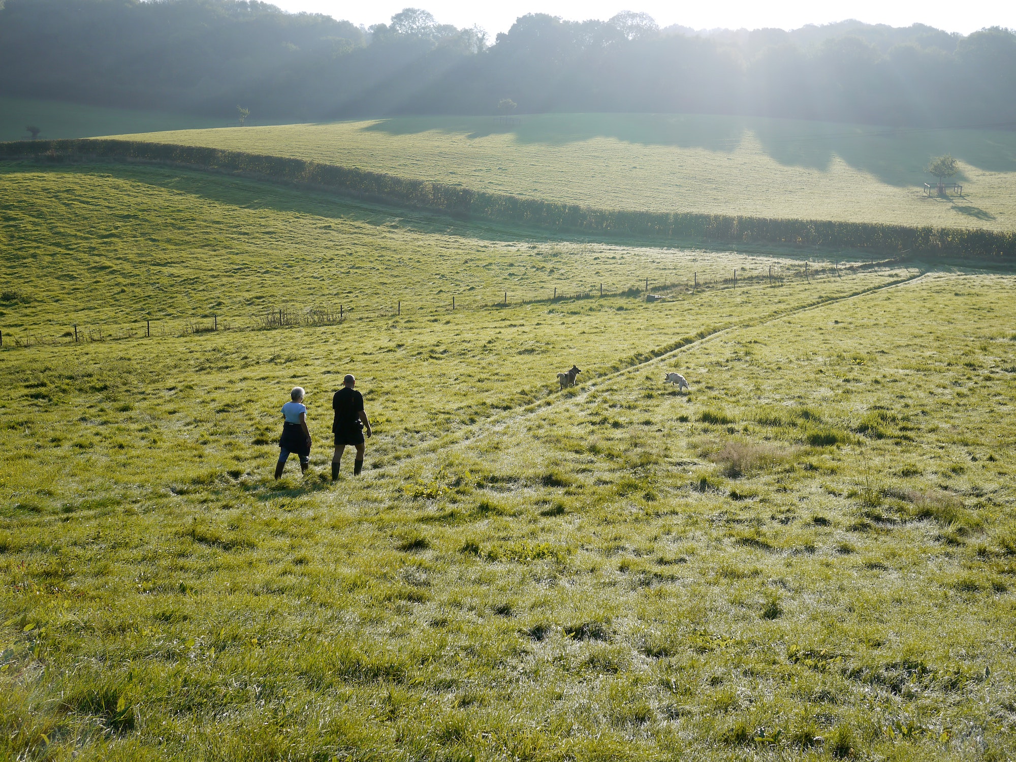 burford walking