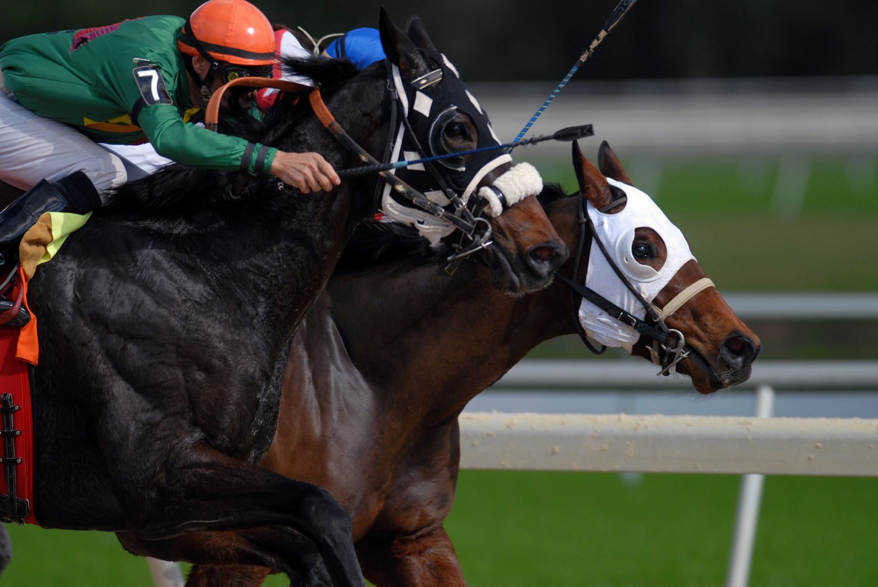 Cheltenham Jump racing