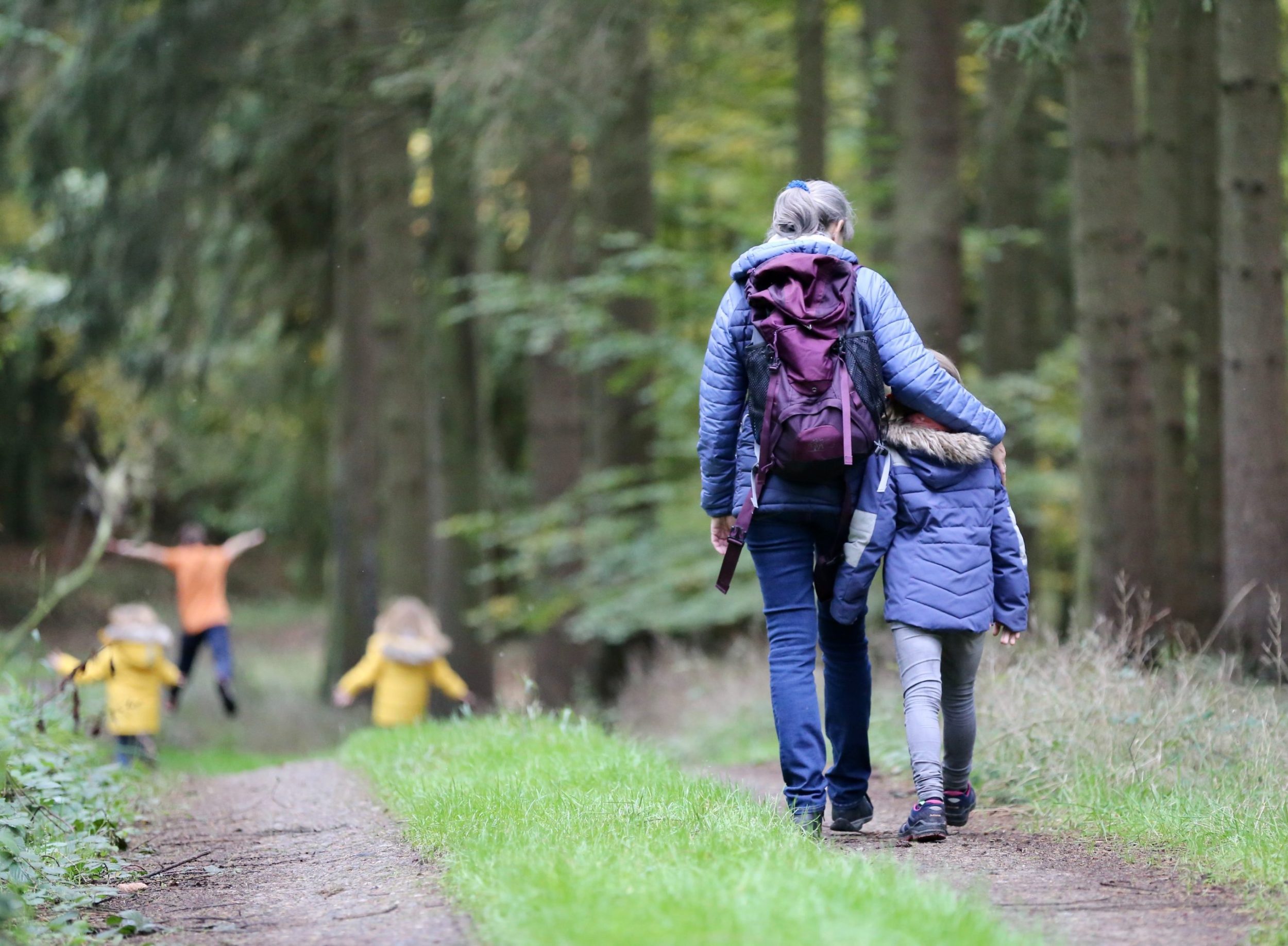 stroud walking
