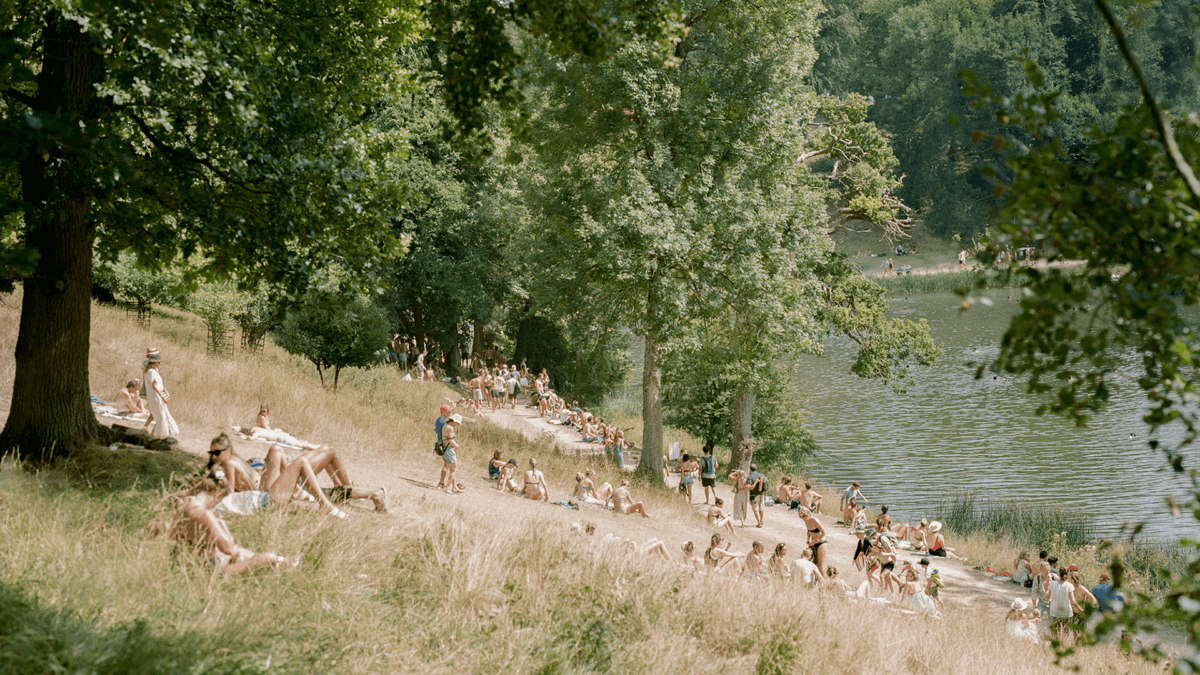 Wilderness Festival