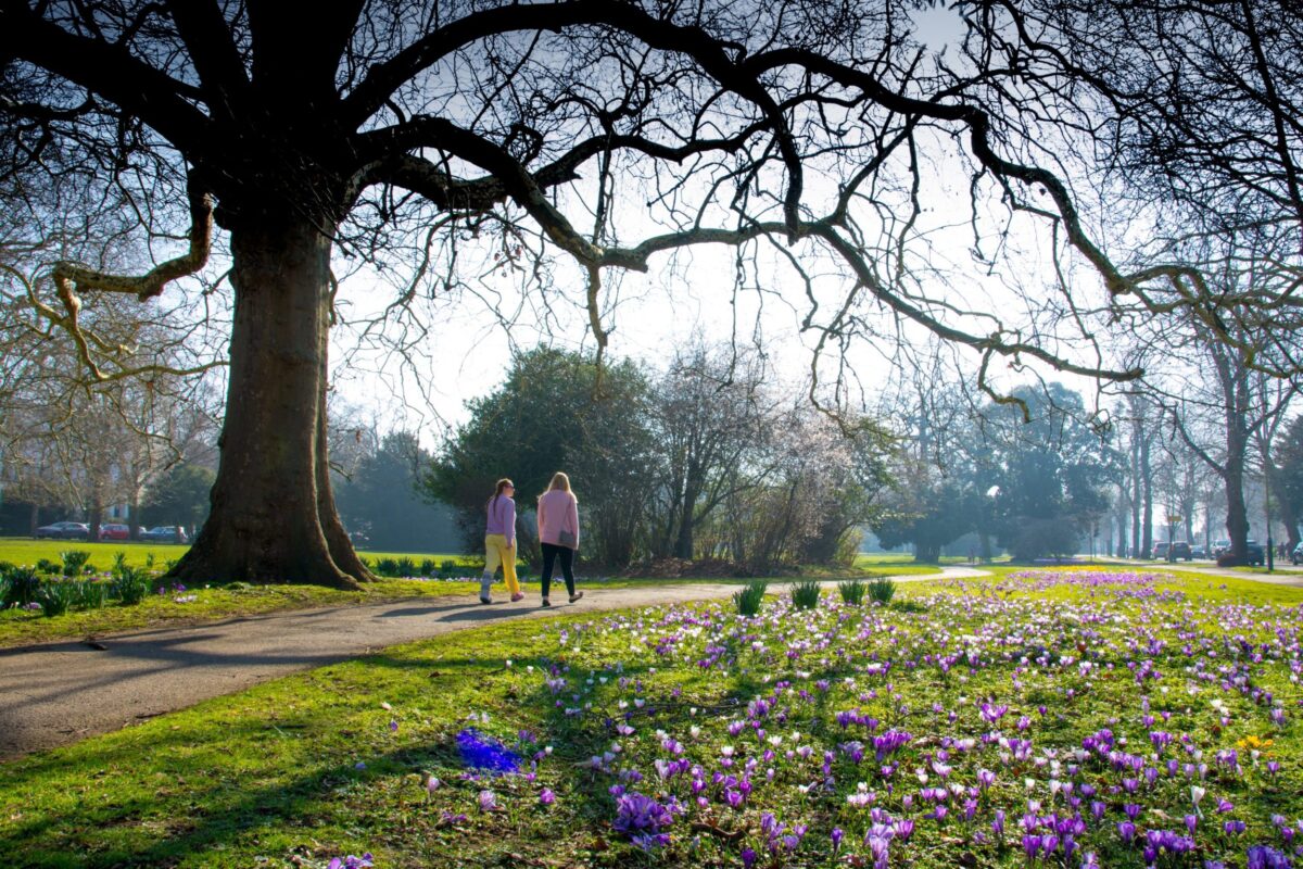 cotswold photography tours
