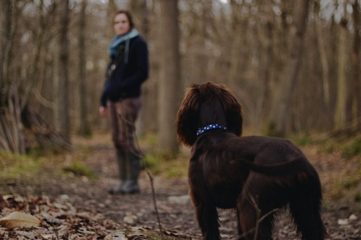 Cotswold Walk