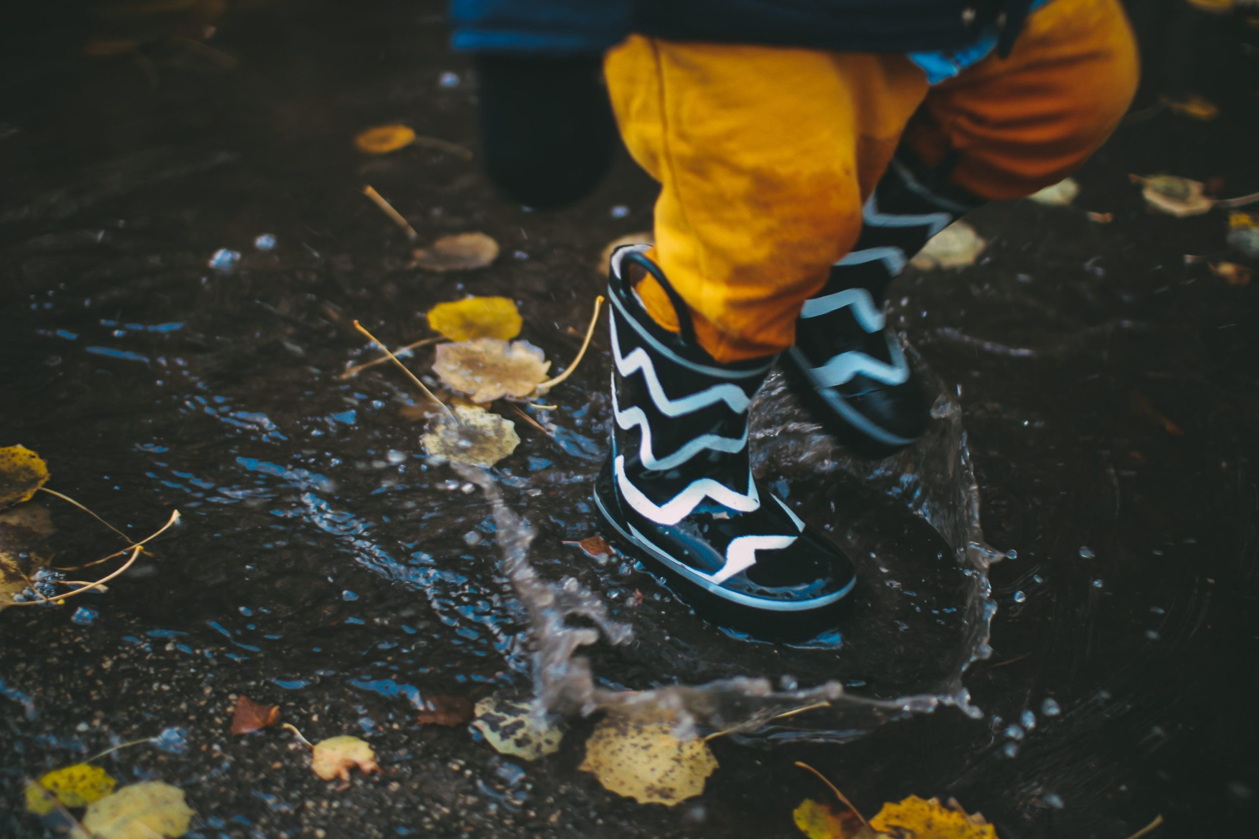 Rainy Day