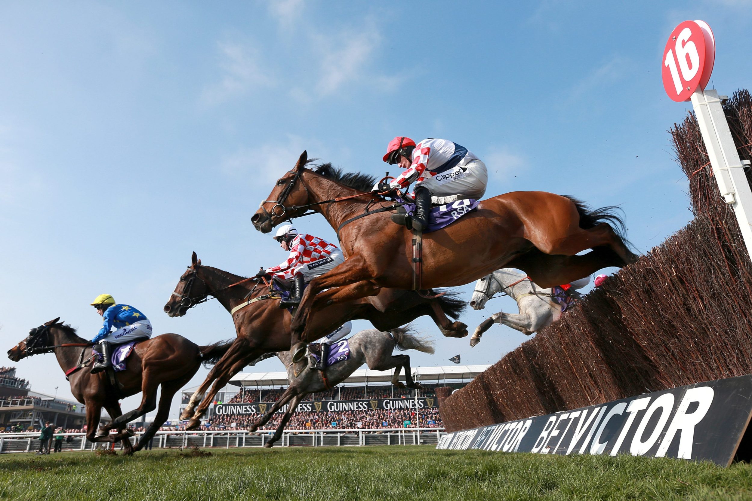 Cheltenham Races