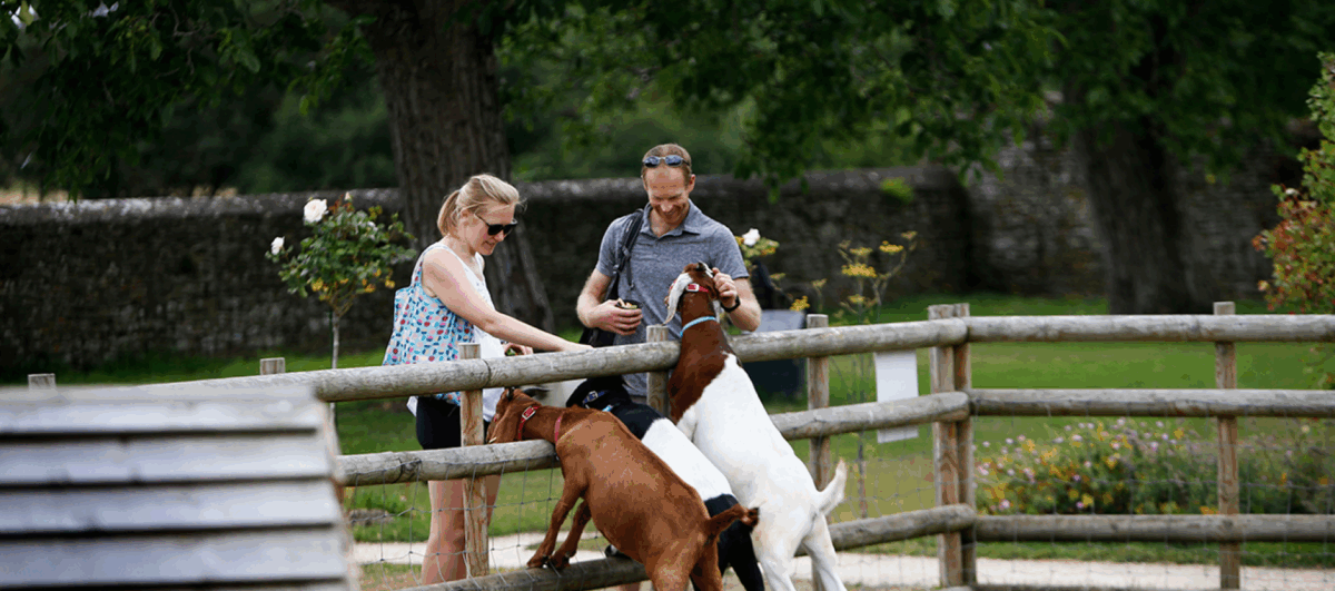 Cogges Manor Farm