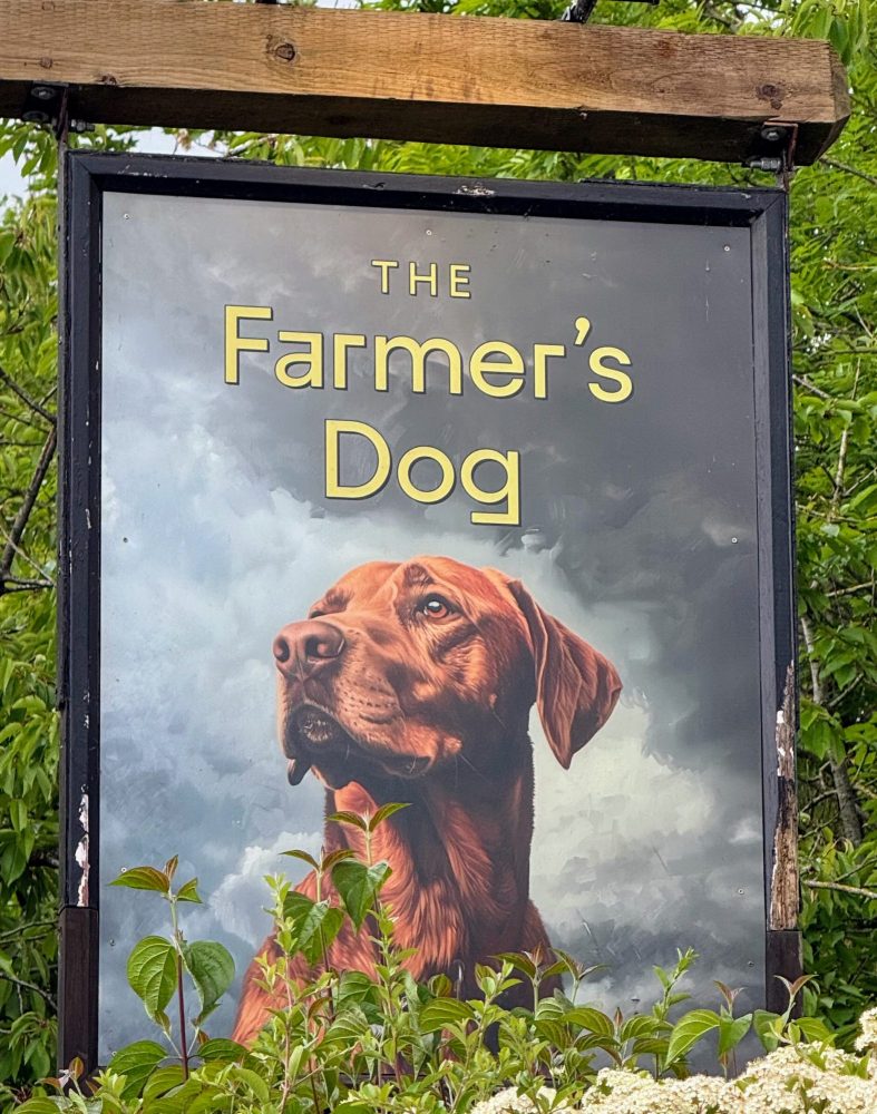 the farmers dog