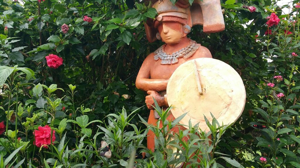 Butterfly Farm
