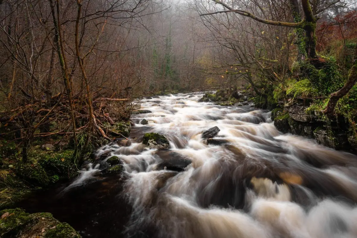 monmouthshire