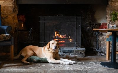 Dog-friendly cottages