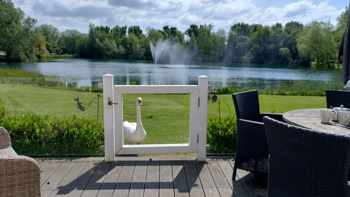 holiday cottages by the water
