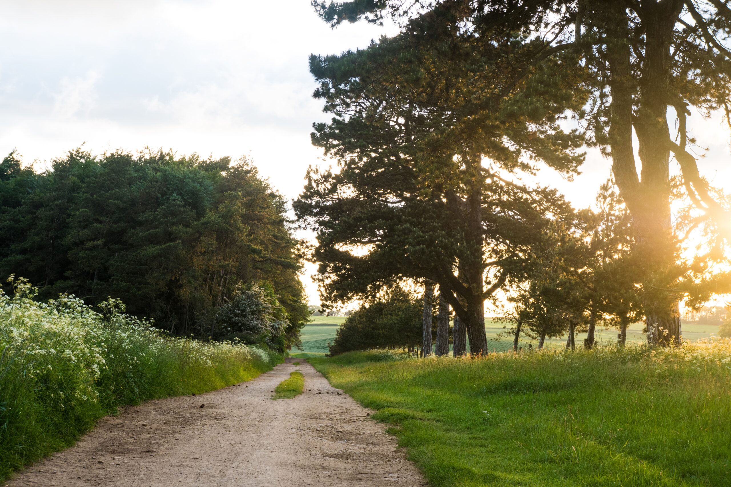 summer in the cotswolds