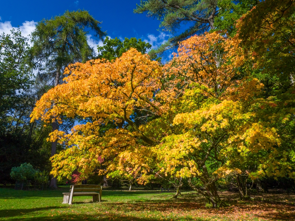 holiday cottages near westonbirt arboretum
