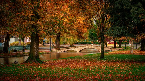 autumn in the cotswolds