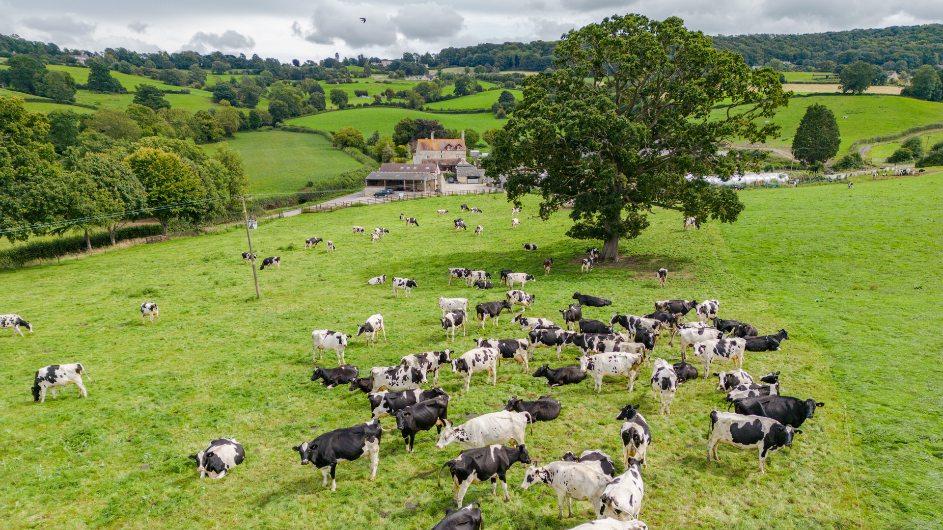 holiday cottages on farms