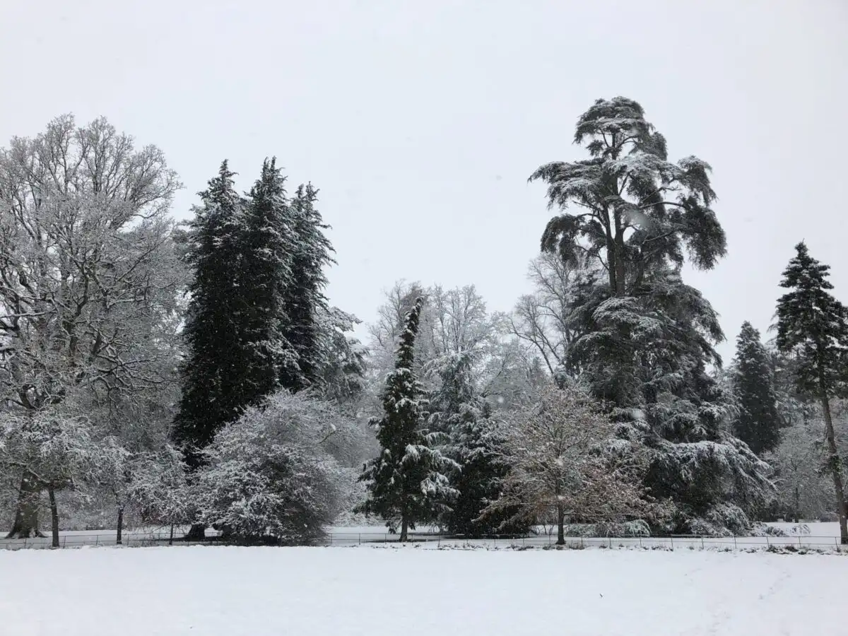 Cotswold at Christmas, Westonbirt, Bolthole Retreats