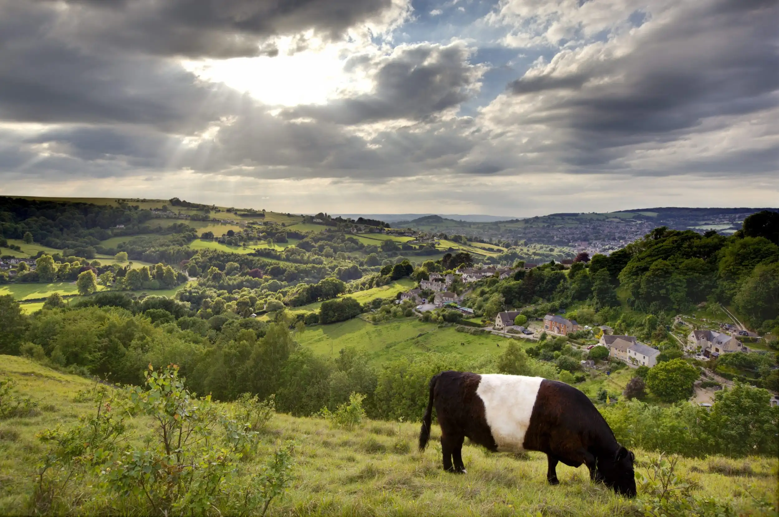 Cotswold walk