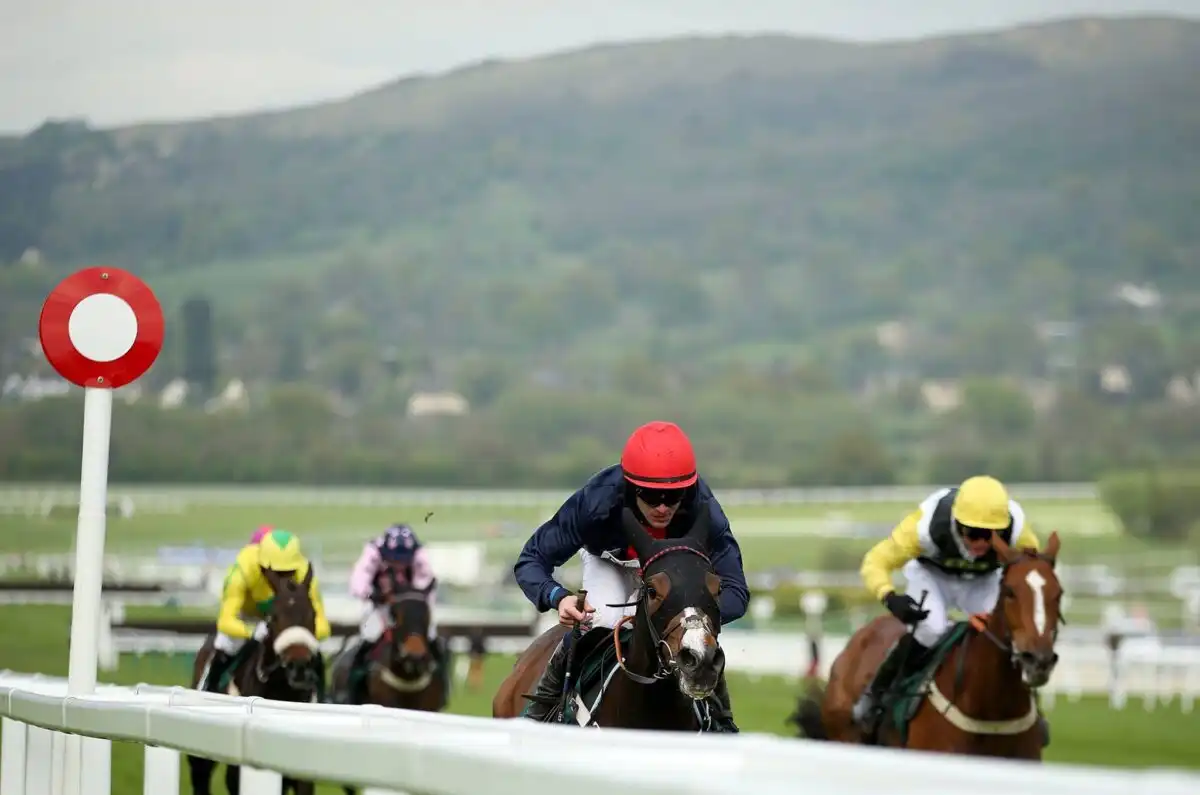 Festival Trials Day