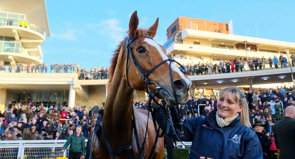 Cheltenham Festival
