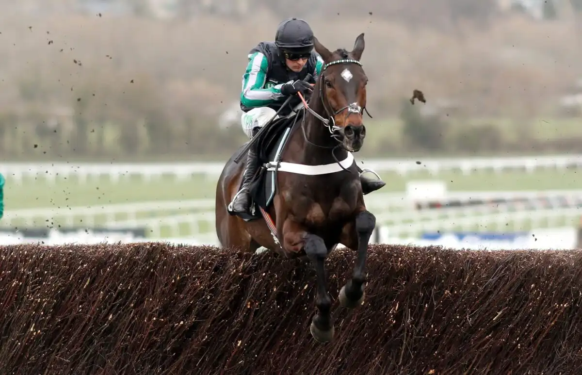 Festival Trials Day