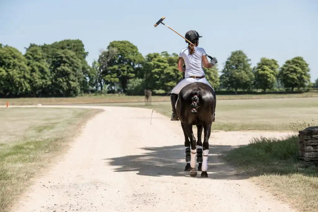 Beaufort Polo Club