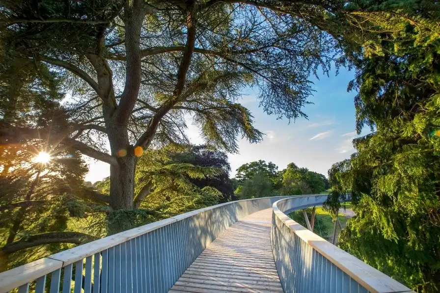 Westonbirt aerial walkway