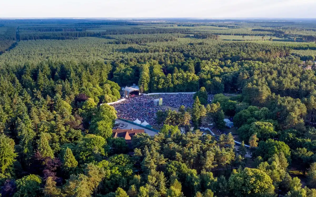 Forest Live