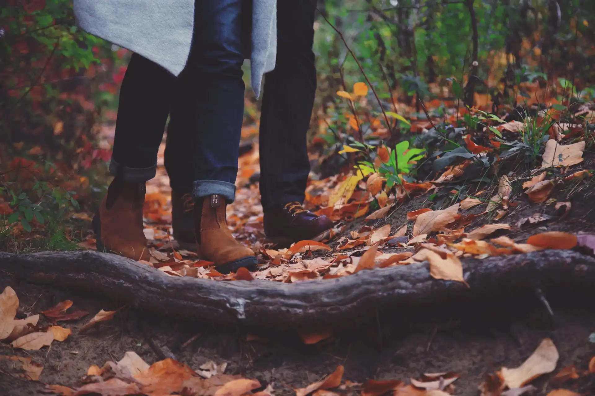 Autumn Walk