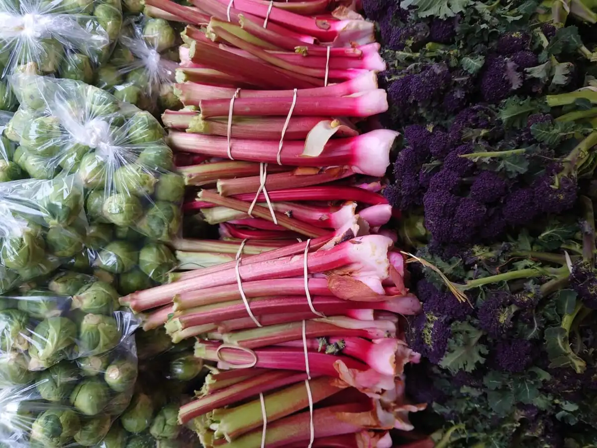 Stroud Farmers Market