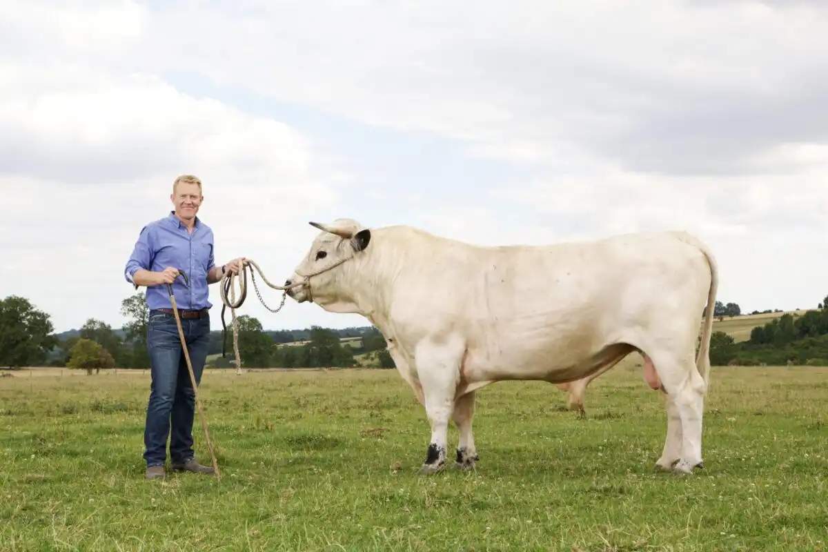 Cotswold Farm Park