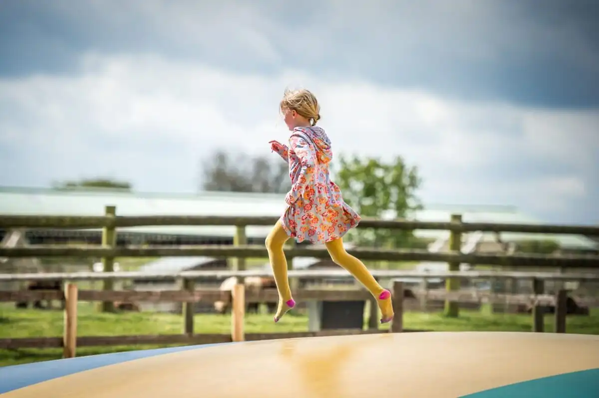 Cotswold Farm Park