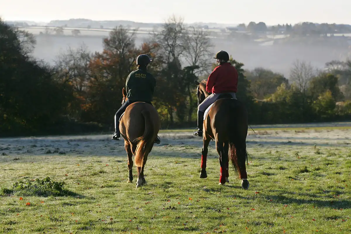 Cotswold Horse Tours