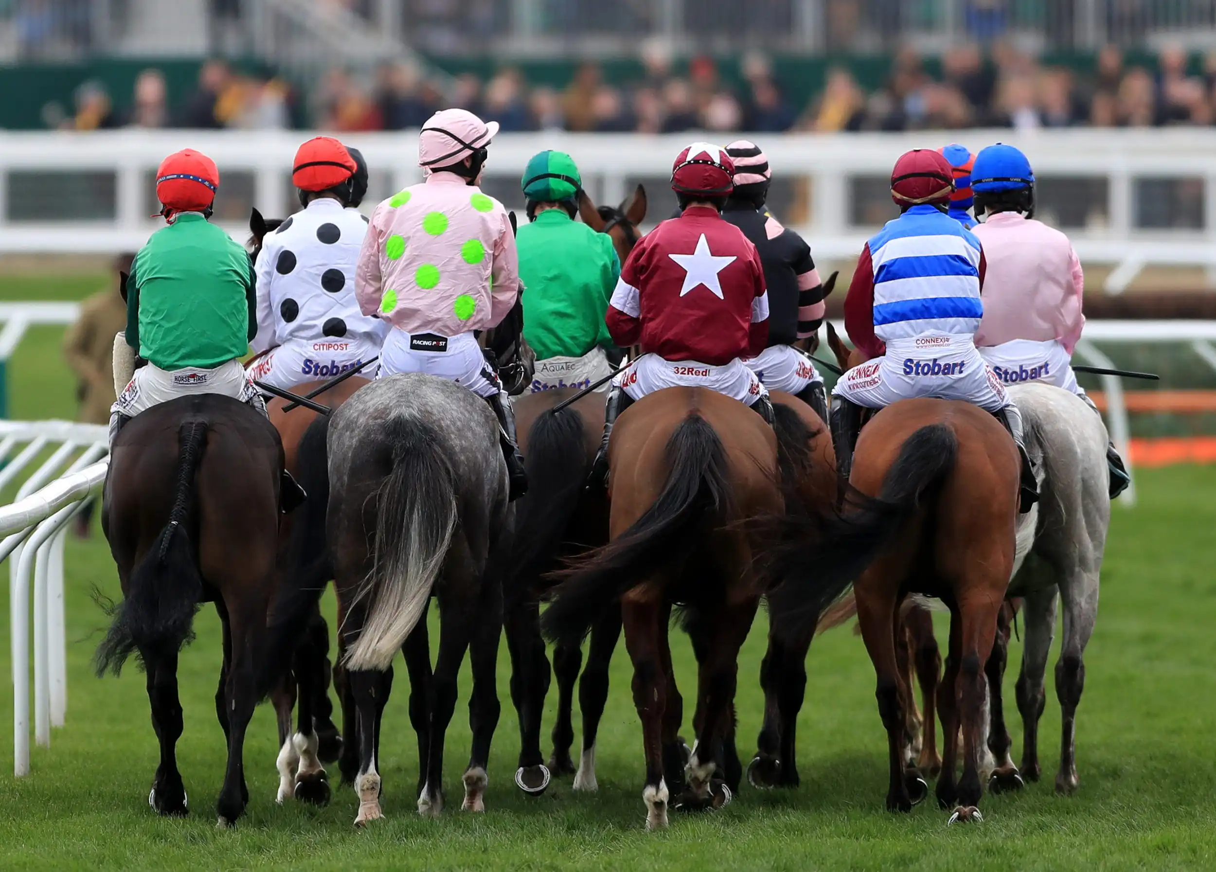 Cheltenham Races