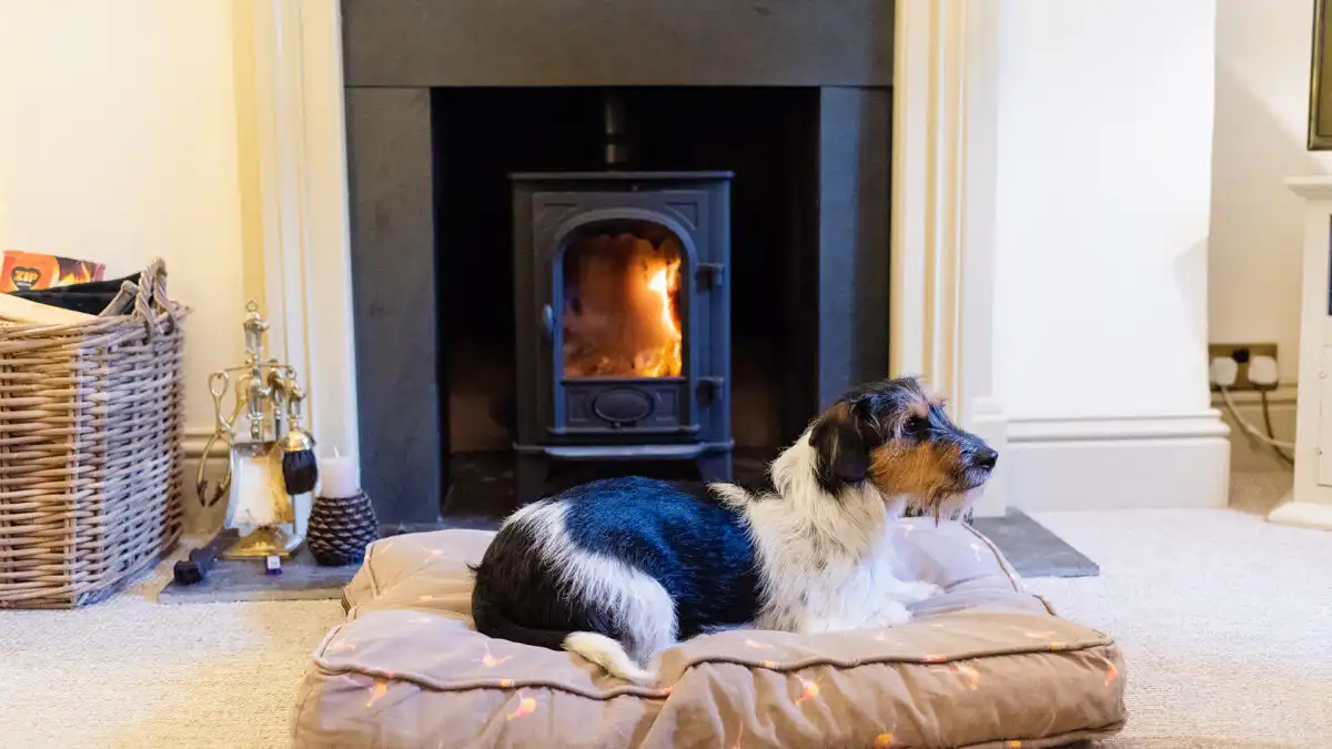 The Four Legged Cuddle Club, Bolthole Retreats