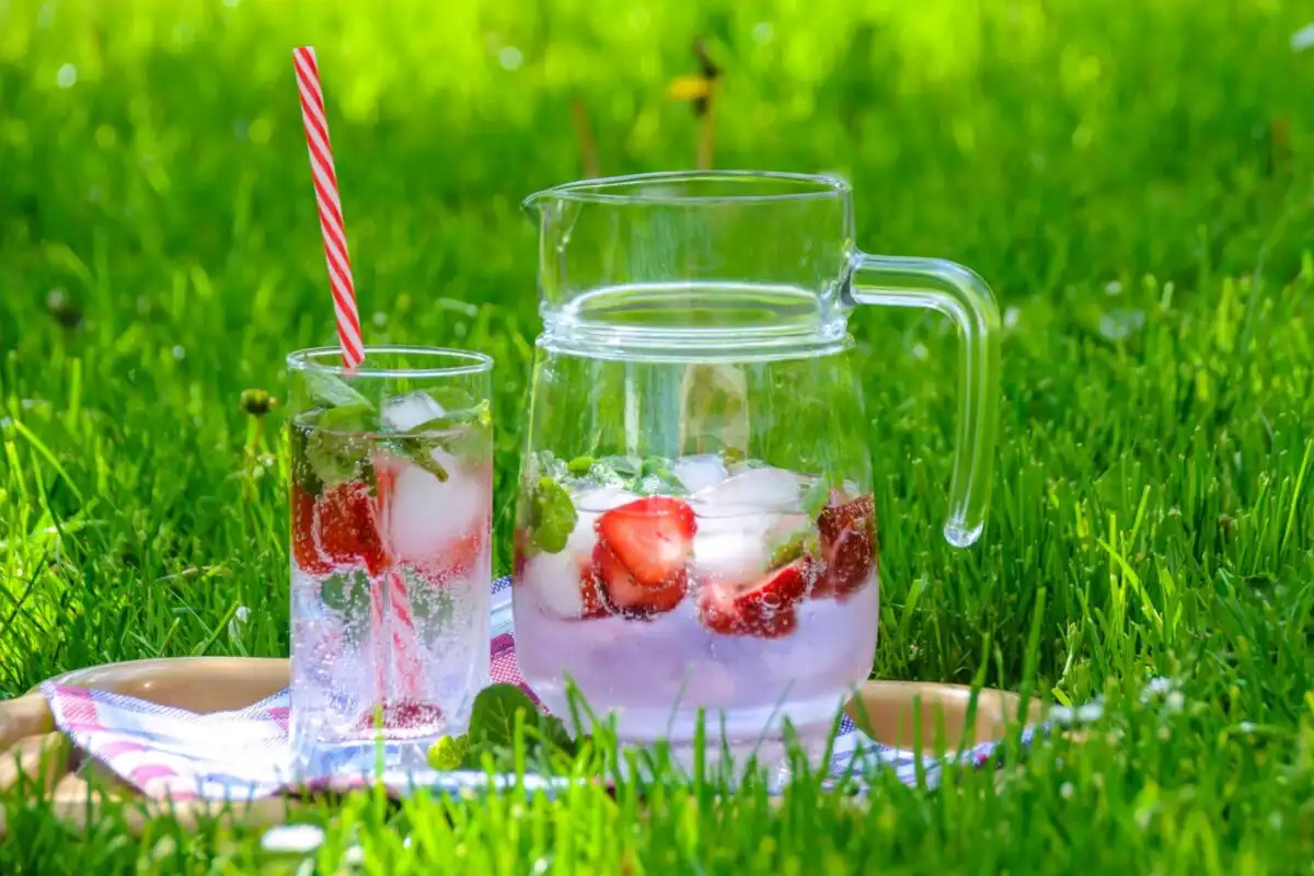Jubilee picnic