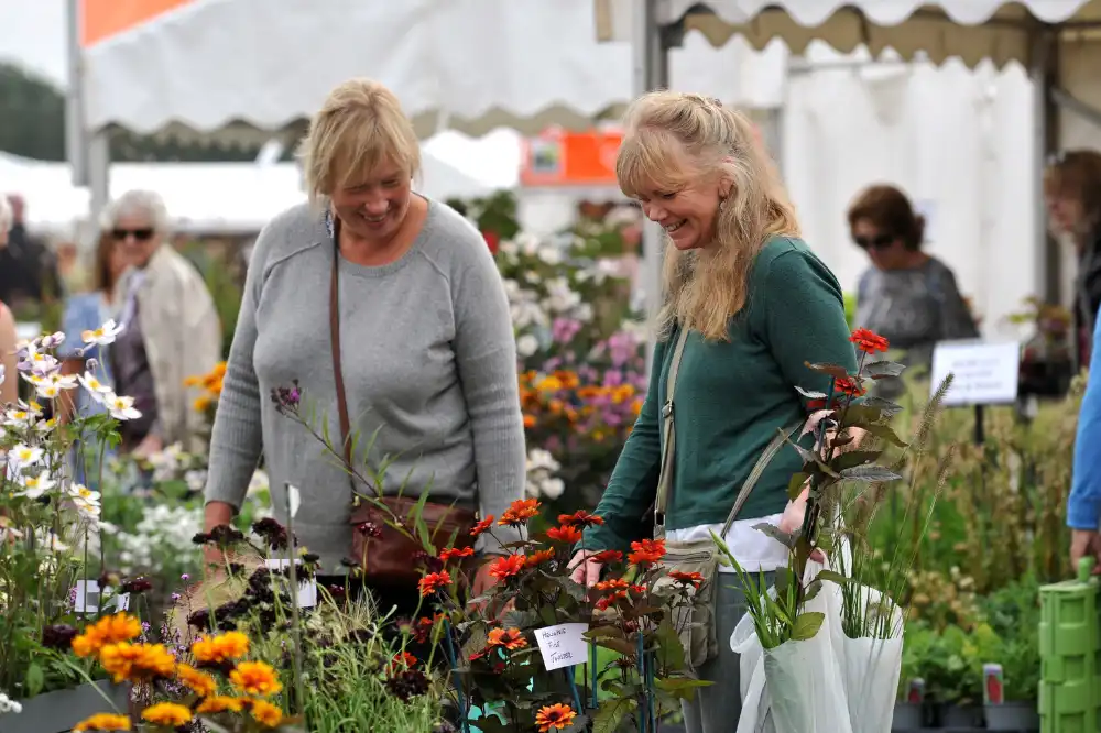 Flowers for sale at Malvern Autumn Show