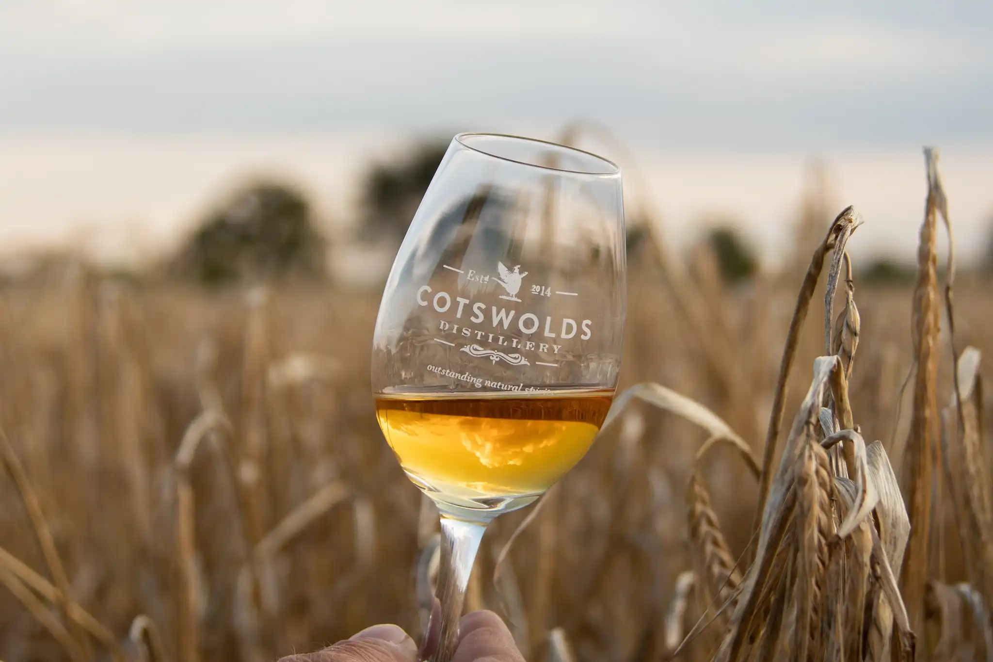 Cotswolds Distillery