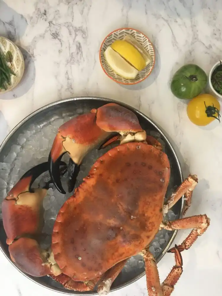 Crab by William's