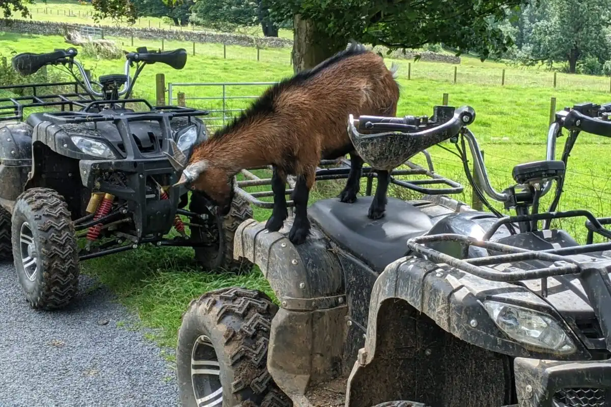 QuadQuest