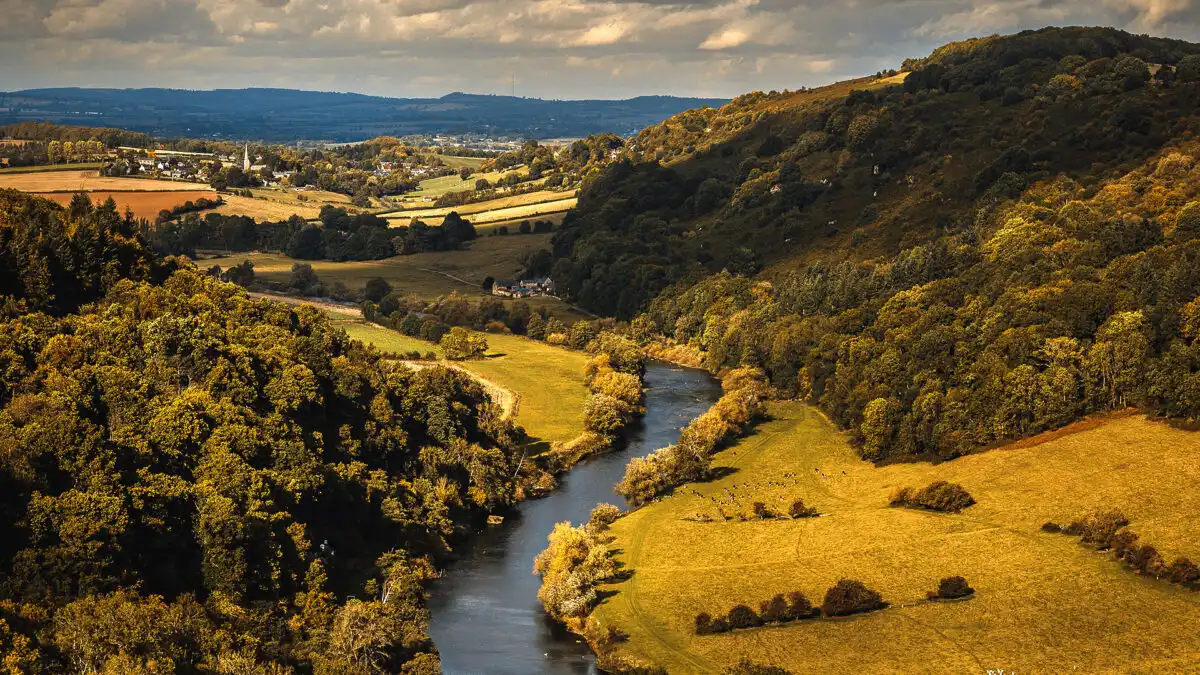 Forest of Dean