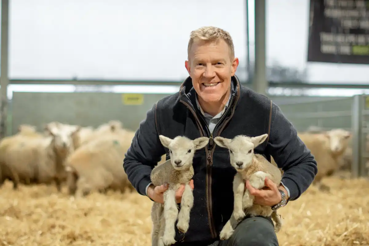 cotswold petting farm