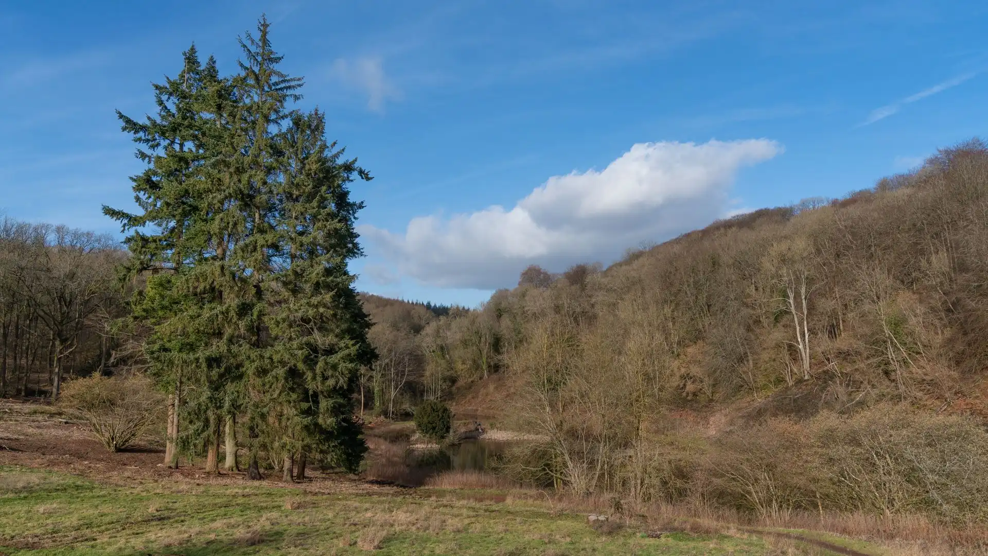 The views, Bertha, Bolthole Retreats