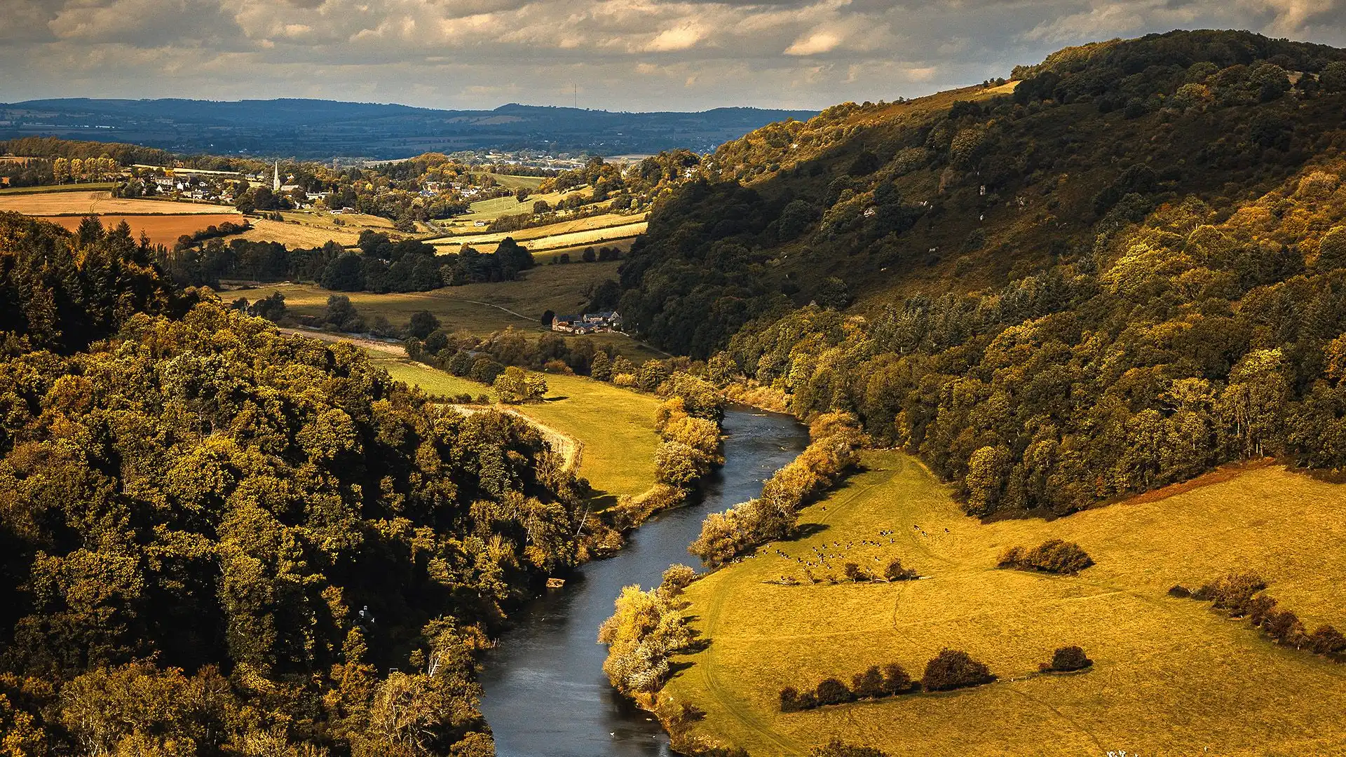 Forest of Dean, Betty, Bolthole Retreats