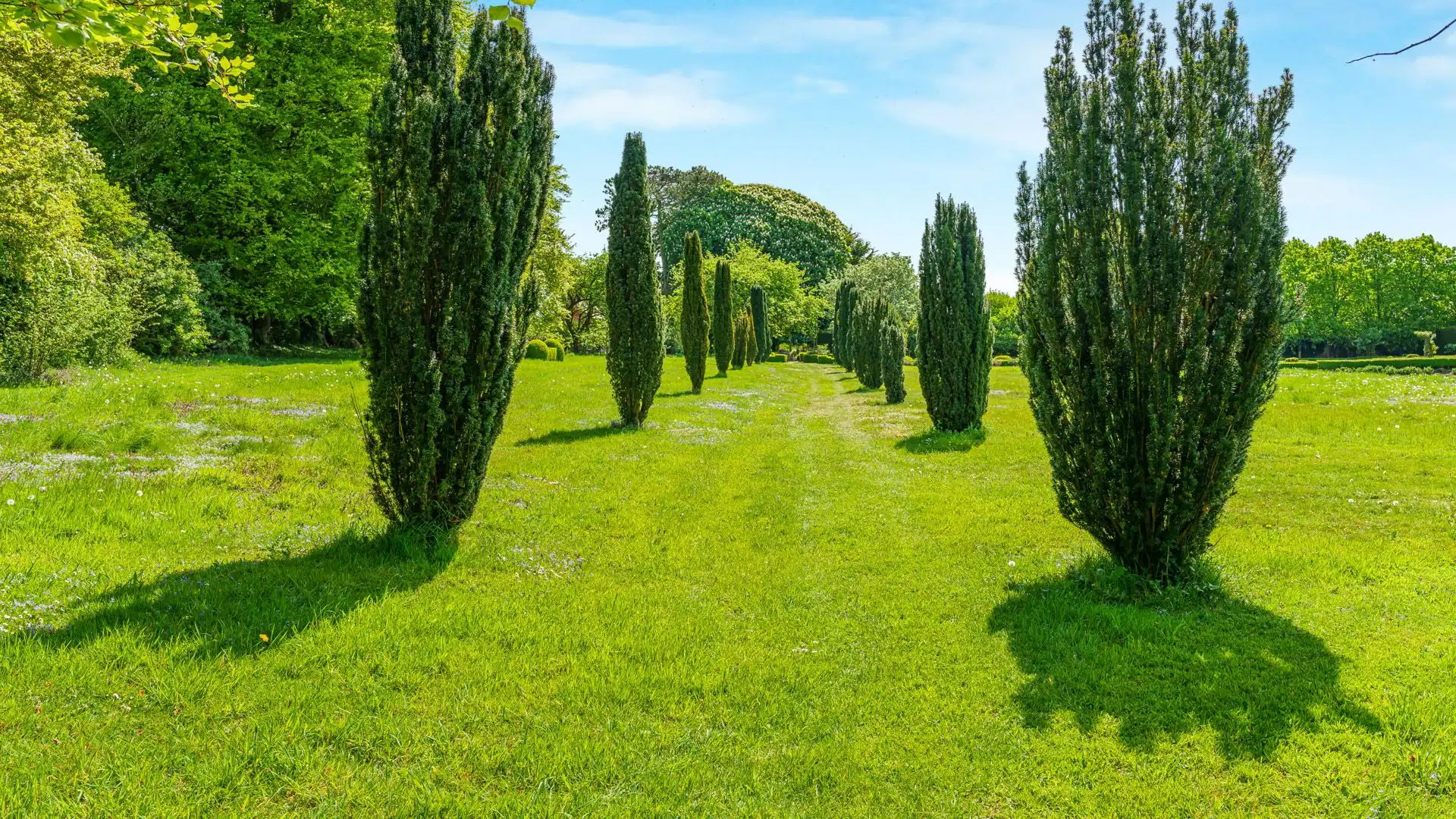 Follow an avenue of trees to the bottom of the garden.