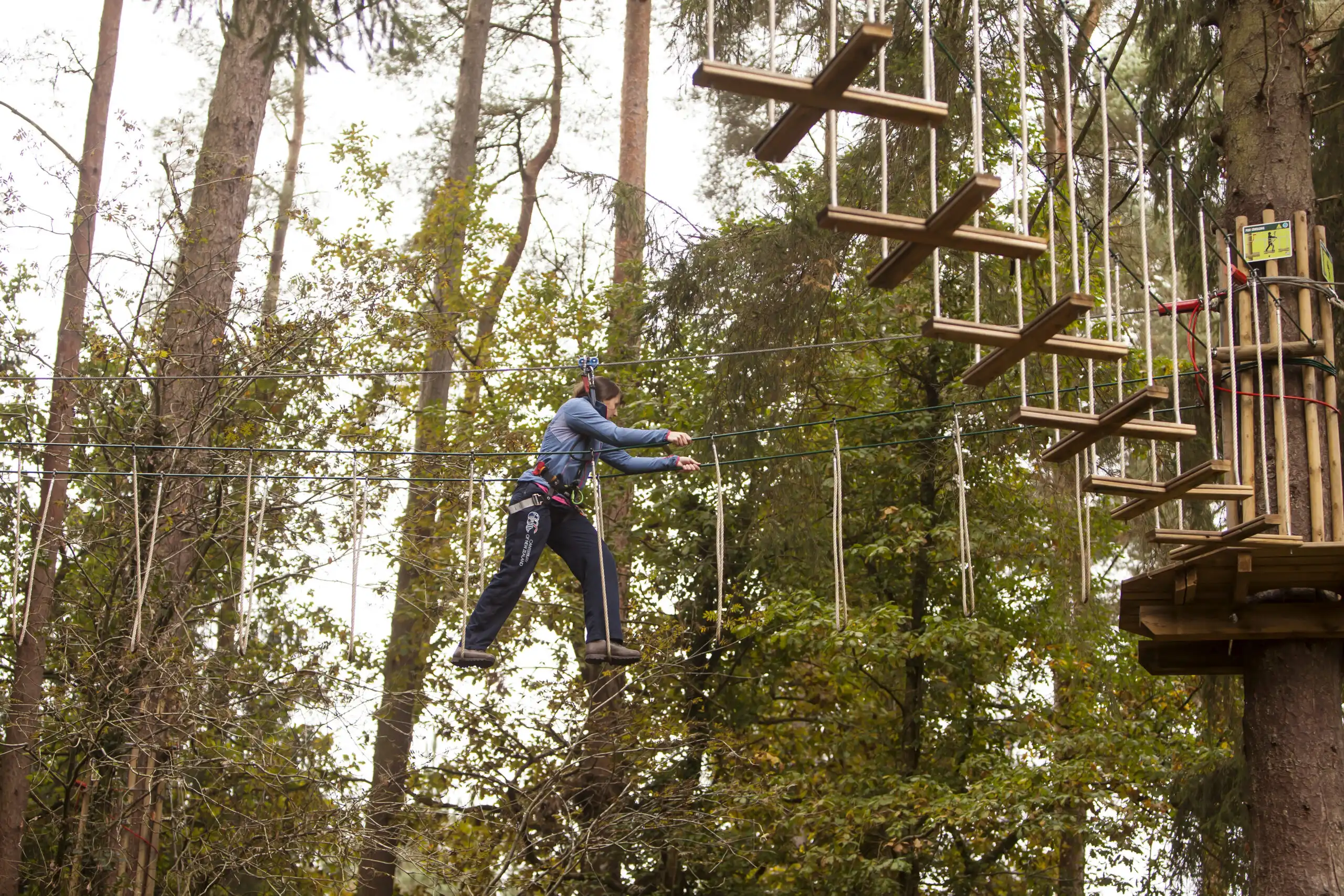 what to do in forest of dean