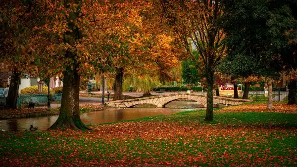 autumn in the cotswolds